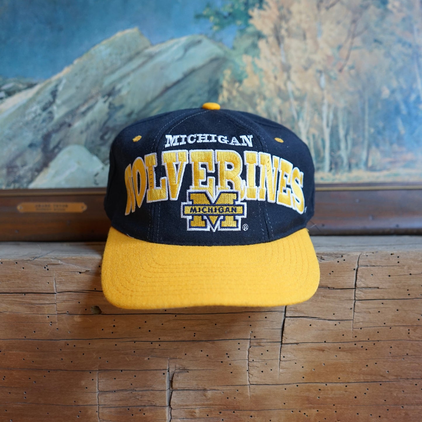 Vintage Michigan Z Starter Michigan Wolverines Hat