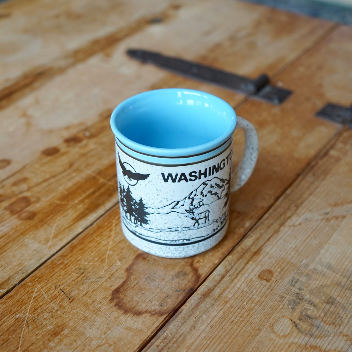 Vintage Baby Blue Washington Outdoor Scene Mug