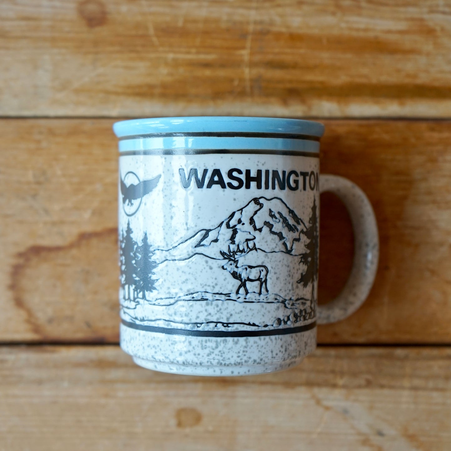 Vintage Baby Blue Washington Outdoor Scene Mug