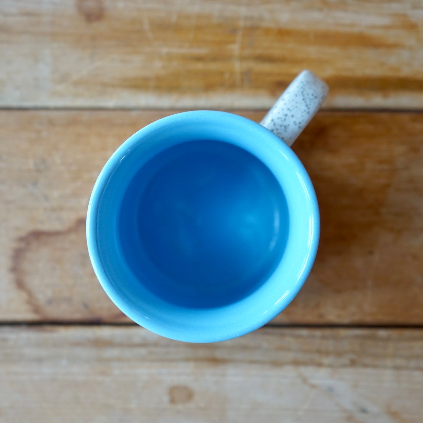 Vintage Baby Blue Washington Outdoor Scene Mug