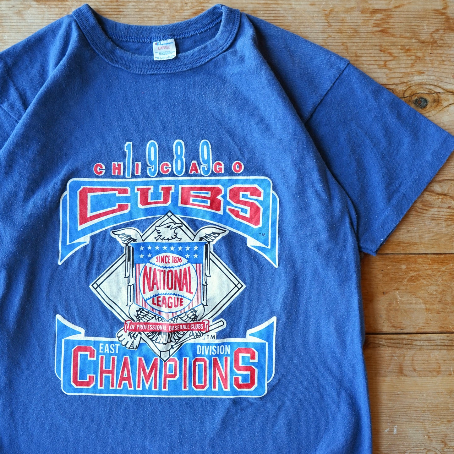 Vintage 1989 Champion Chicago Cubs Champions Size M/L