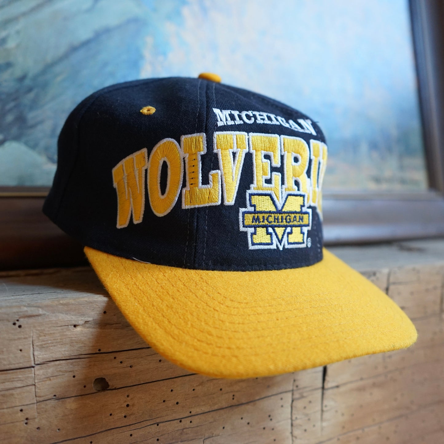 Vintage Michigan Z Starter Michigan Wolverines Hat