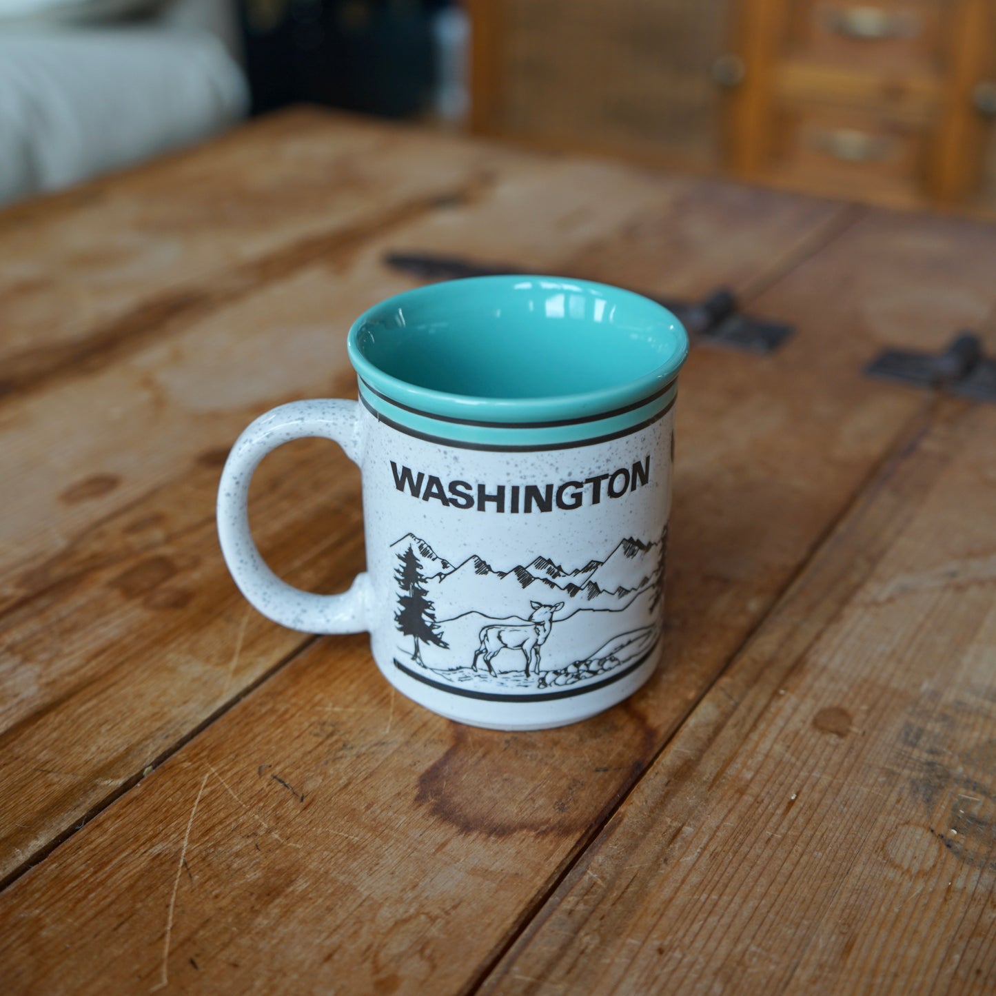 Vintage Washington Outdoor Scene Mug