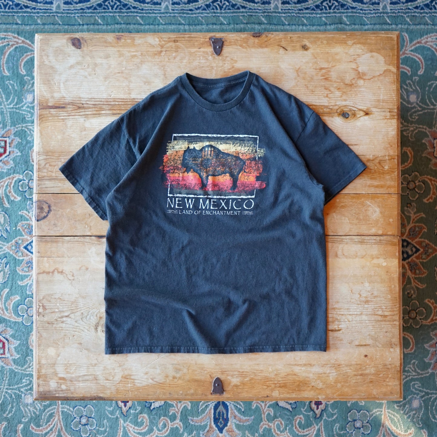 Vintage New Mexico Land of Enchantment Tee