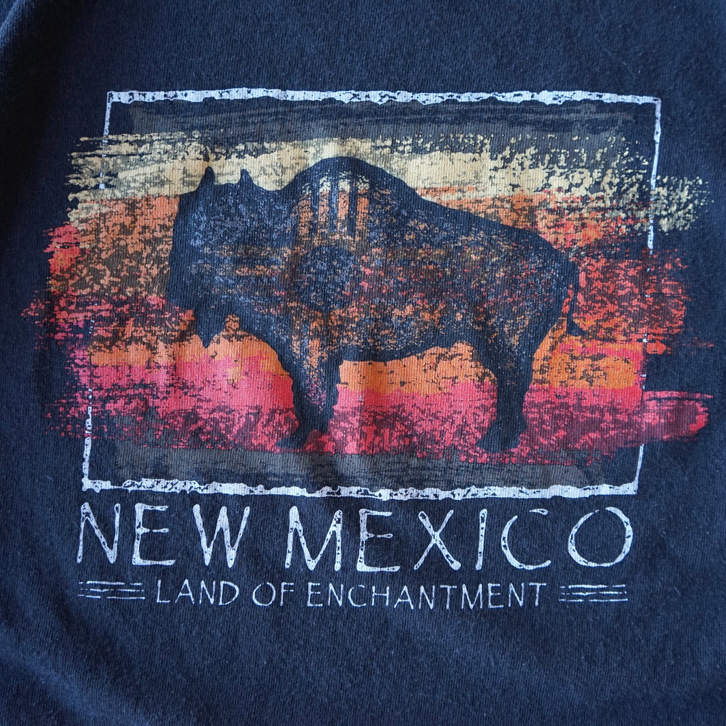 Vintage New Mexico Land of Enchantment Tee