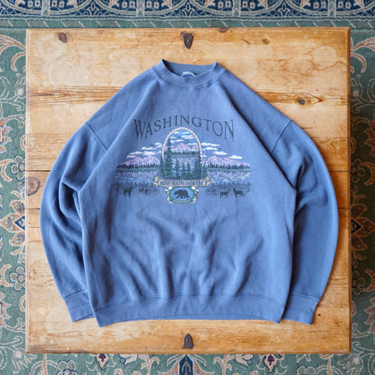 Vintage Washington Hoh Rain Forest Sweatshirt Size L/XL