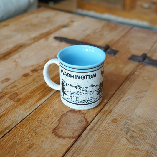 Vintage Baby Blue Washington Outdoor Scene Mug