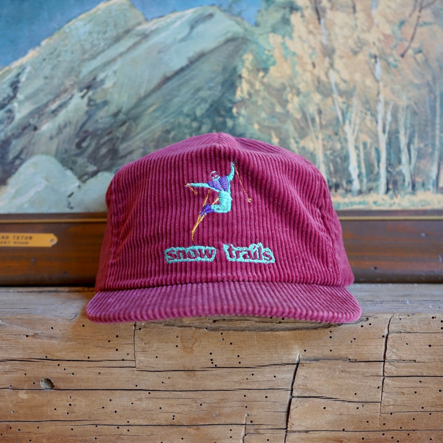 Vintage Snow Trails Ski Hat