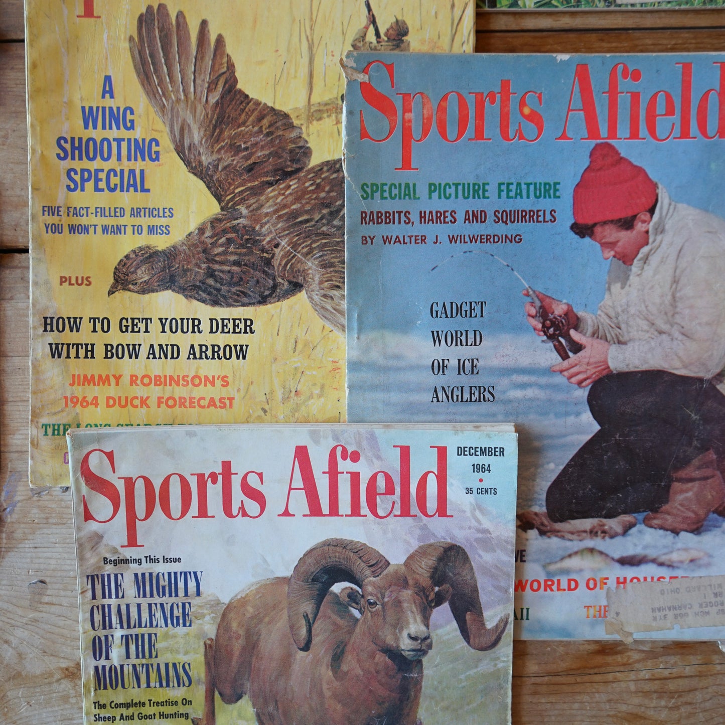 1964 Lot of 5 Sports Afield Magazines