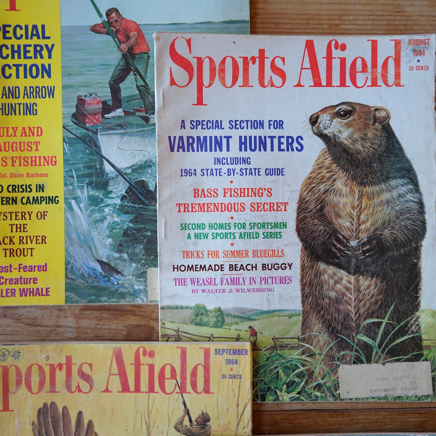 1964 Lot of 5 Sports Afield Magazines