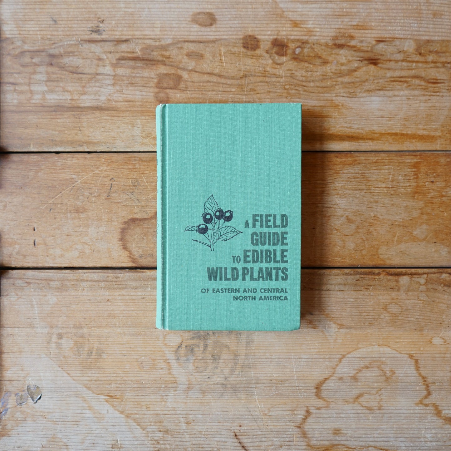 Vintage Field Guide to Edible Wild Plants Book