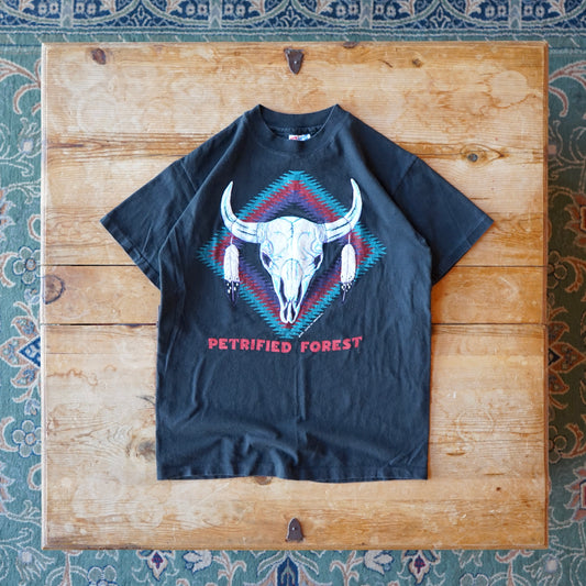 Vintage Western Petrified Forest Tee Size M